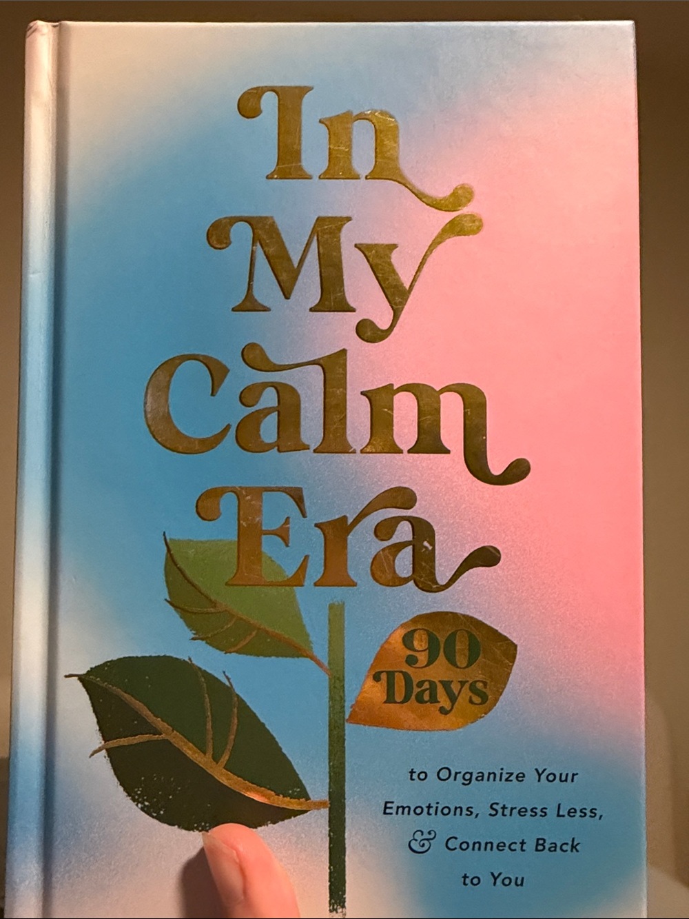 In My Calm Era 90 Days Journal - Blue and Pink